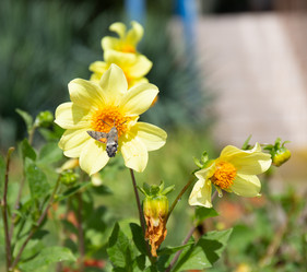 Similar image 21782686