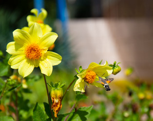 Similar image 21782688