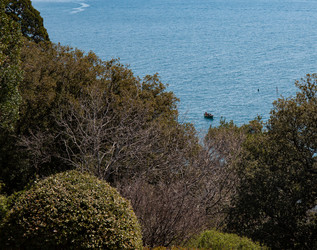 Similar image 21782689