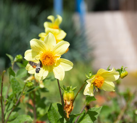 Similar image 21782690