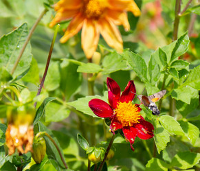 Similar image 21782837