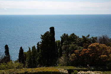 Similar image 21782838