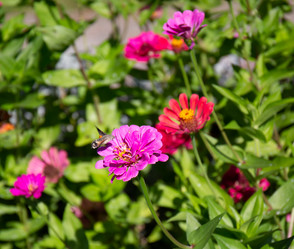 Similar image 21782840