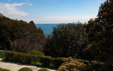 Similar image 21782843