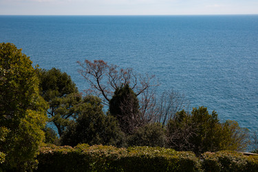 Similar image 21782844