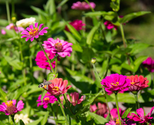 Similar image 21782846