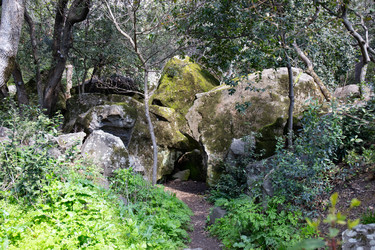 Similar image 21782850