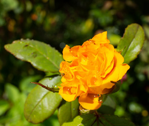 Similar image 21782852