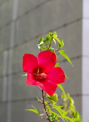 Similar image 21782853