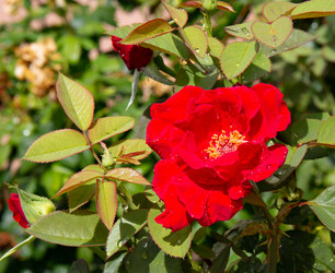 Similar image 21782854