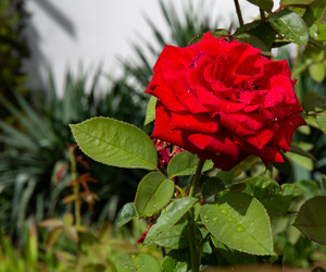 Similar image 21782855