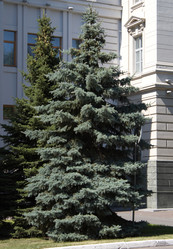 Similar image 21781615