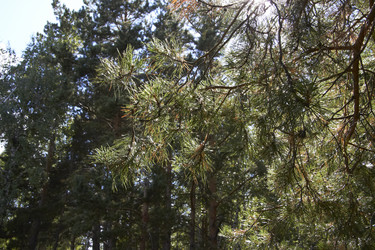 Similar image 21782465