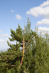 Similar image 21782467