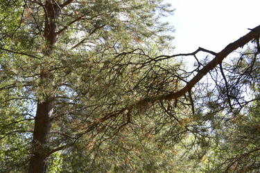 Similar image 21782468