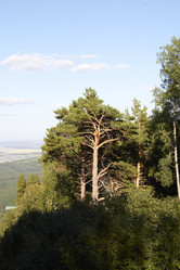 Similar image 21782471