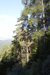 Similar image 21782696