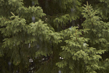 Similar image 21782698