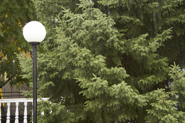 Similar image 21782699