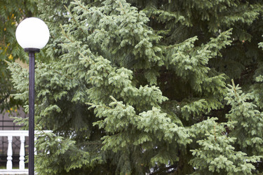 Similar image 21782700