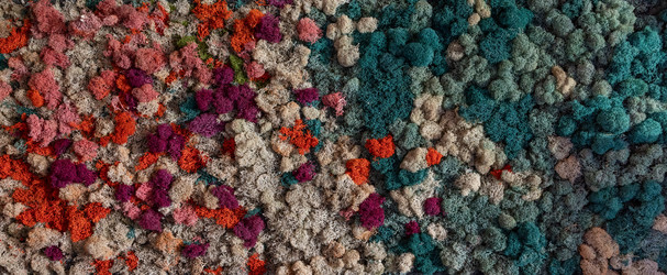 Similar image 21781986