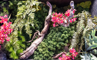 Similar image 21781989