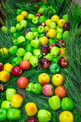 Similar image 21781991