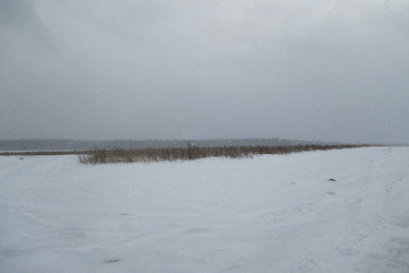 Similar image 21781992