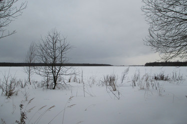 Similar image 21781995