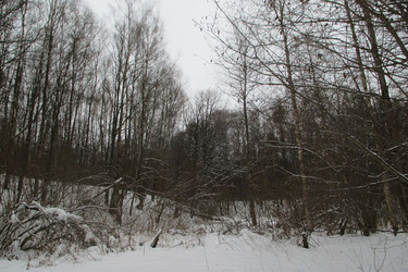 Similar image 21781996