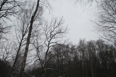 Similar image 21782000