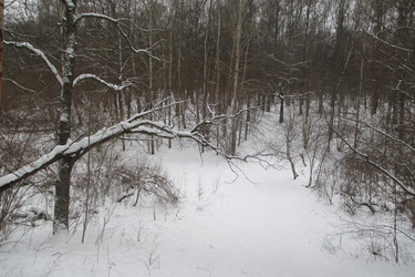 Similar image 21782002