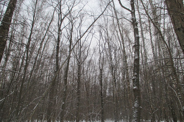 Similar image 21782003