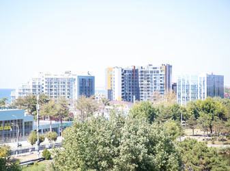 Similar image 21781398