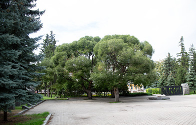 Similar image 21781625