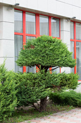 Similar image 21781627