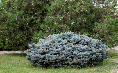 Similar image 21781633