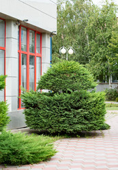 Similar image 21781635