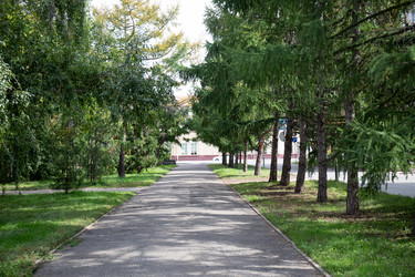 Similar image 21781637