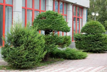 Similar image 21781640