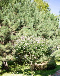 Similar image 21781642