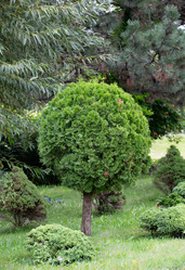 Similar image 21781644