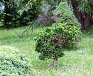 Similar image 21781645