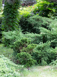 Similar image 21781646