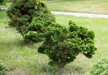 Similar image 21781647