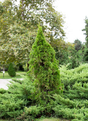 Similar image 21781648