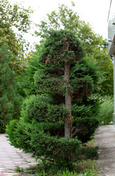 Similar image 21781649