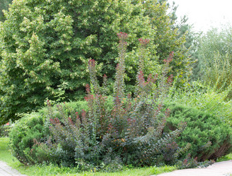 Similar image 21781652