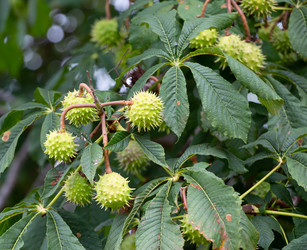 Similar image 21781653