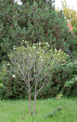 Similar image 21781654